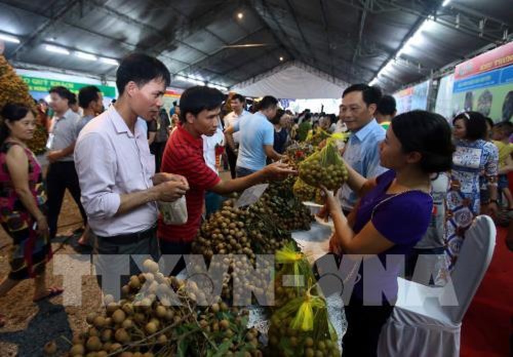 KHI ĐỊA PHƯƠNG TỰ QUẢNG BÁ